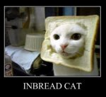 ImageUploadedByTapatalk1397871392.641844.jpg