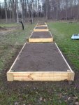 Raised Beds.jpg