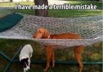 ImageUploadedByTapatalk1399237826.317403.jpg