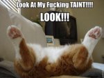 ImageUploadedByTapatalk1399513667.007500.jpg