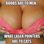 ImageUploadedByTapatalk1399578886.882053.jpg
