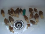 DSC06709.jpg