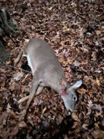 IMG_3886.jpeg