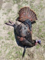 IMG_9417.jpeg
