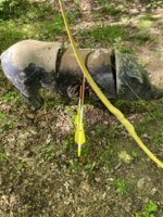 IMG_1535.jpeg