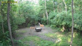 UBox_IMG_20240523_0755088_3_106_.jpg