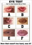 Lip Identification for Nancy Peloci.jpg