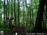 HUNT0983.jpg