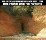 ImageUploadedByTapatalk1402048674.492547.jpg