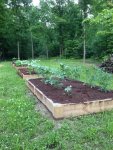 Raised Beds.jpg