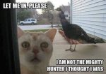 ImageUploadedByTapatalk1402994008.216923.jpg