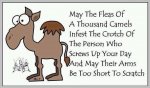 ImageUploadedByTapatalk1402994072.072317.jpg