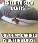 ImageUploadedByTapatalk1403458388.850416.jpg