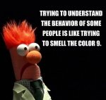ImageUploadedByTapatalk1403708117.196429.jpg