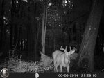 HUNT0255.jpg