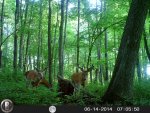 HUNT0908.jpg