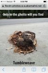 ImageUploadedByTapatalk1404083931.010429.jpg