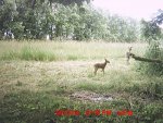 MDGC0007__1404343044_96503.jpg