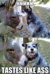 ImageUploadedByTapatalk1404424576.901922.jpg