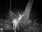 HUNT2696.jpg