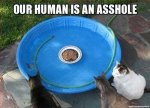 ImageUploadedByTapatalk1404891018.397577.jpg