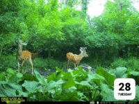 1000029560.gif