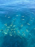 IMG_9878.jpeg