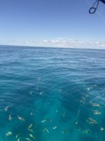 IMG_9879.jpeg