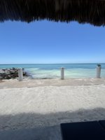 IMG_9871.jpeg