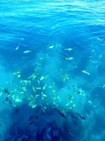 IMG_0035.jpeg