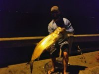 IMG_9976.jpeg