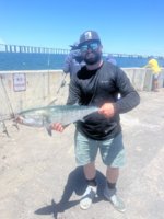 IMG_7427.jpeg