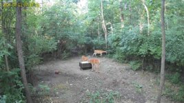 UBox_IMG_20240711_07171717_3_106_.jpg