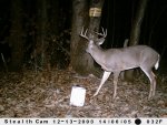 big buck 1.jpg