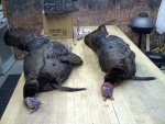 20110430100744.jpg