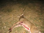 IMG_1083.JPG
