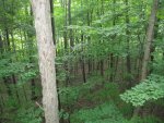 IMG_0257.JPG
