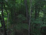 IMG_0256.JPG