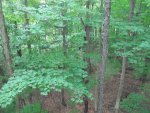 IMG_0259.JPG