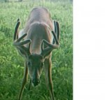 10pt3.JPG