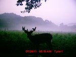 MDGC0176.jpg