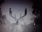 photo.JPG photo.JPG