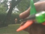 ImageUploadedByTapatalk1314133942.312941.jpg