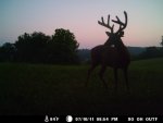 7-18-11-Meldicks-behindhouse759.jpg