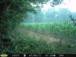 Lawrences-riverbottom-7-19-11025.jpg