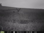 scottsstand-7-4-11053.jpg