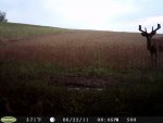 scottsstand-7-4-11029.jpg