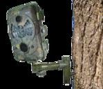 MA-360_arbre.jpg