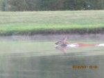 IMG_1522.jpg