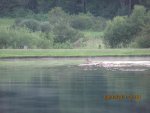 IMG_1521.jpg
